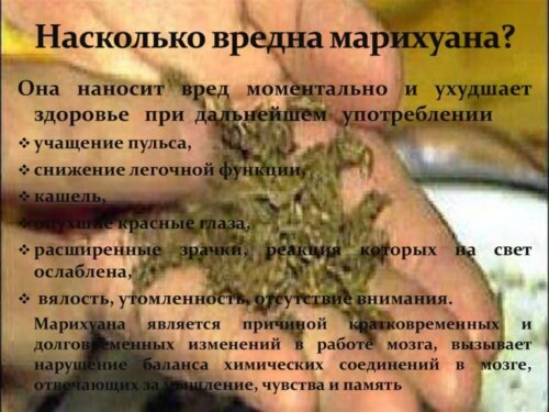 Лечение зависимости от конопли 3